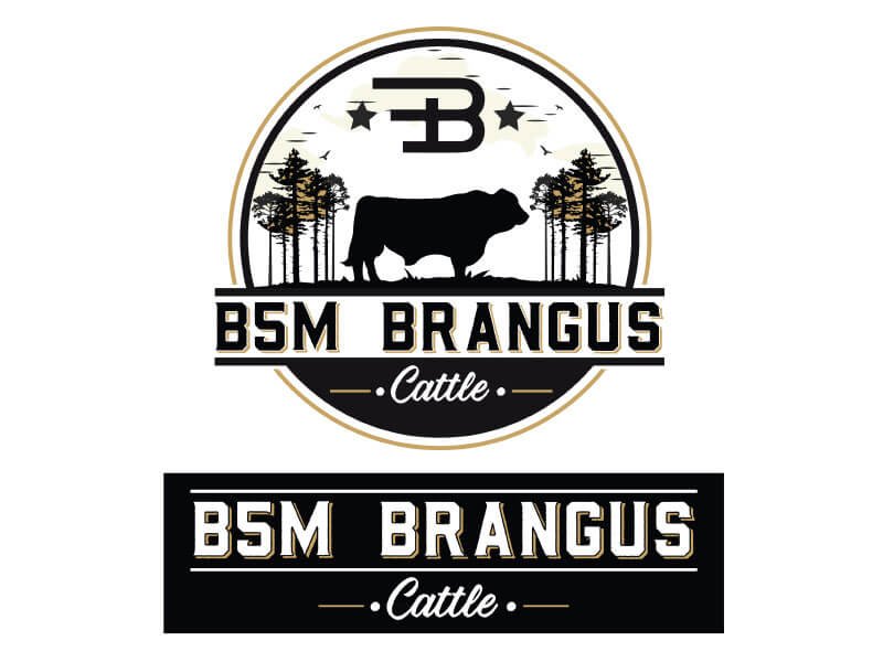 B5M Brangus Cattle logo (for Ranch House Designs)