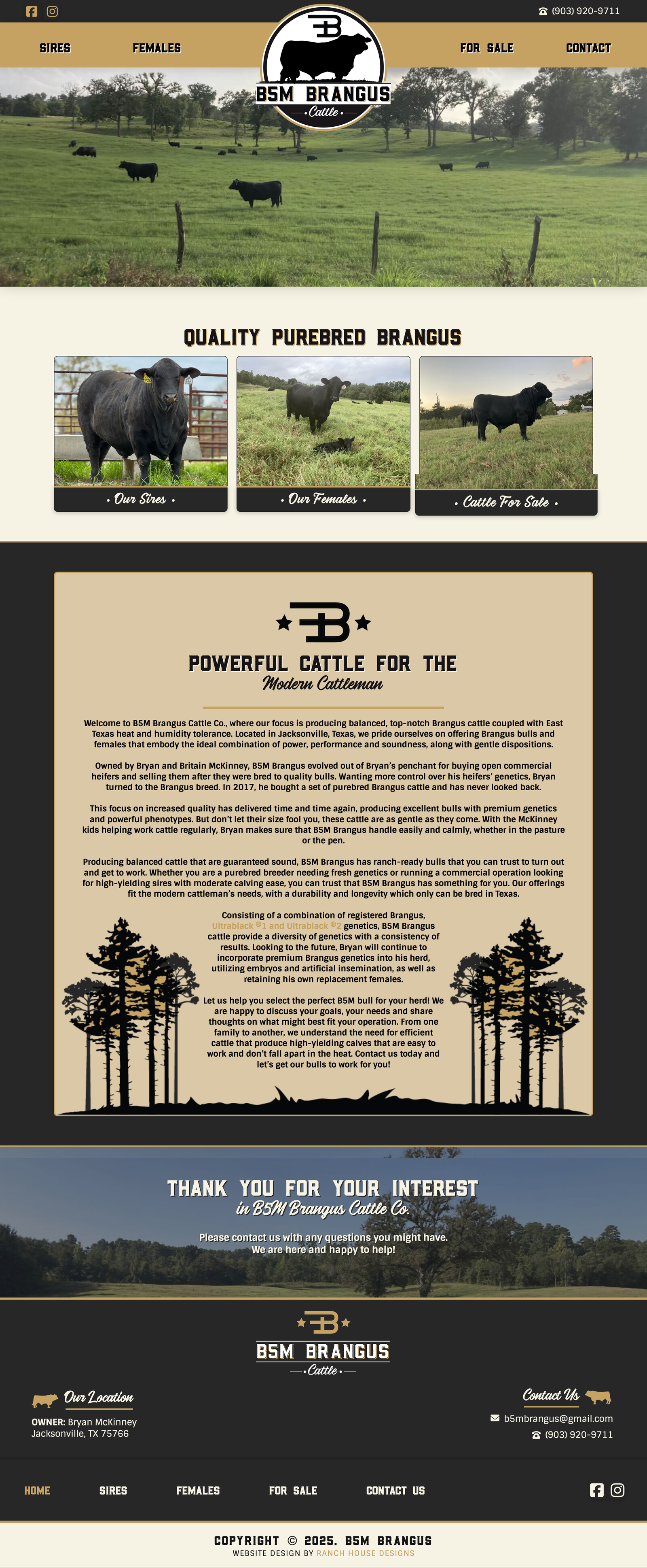 B5M Brangus Cattle website (for Ranch House Designs)